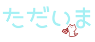 20702899