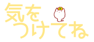 20702934