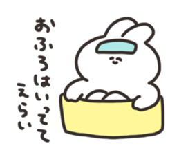 20705175