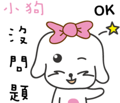207065043