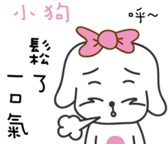 207065044