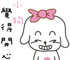 207065049