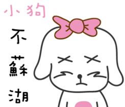 207065050