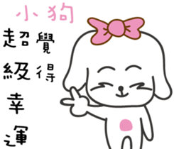 207065052