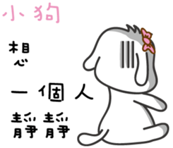 207065058