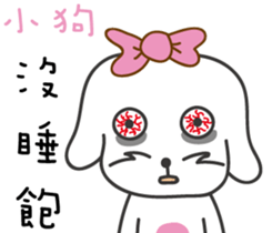 207065062