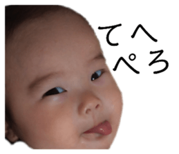207075040