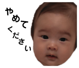 207075042