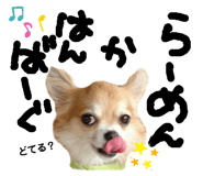207075087