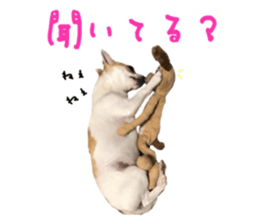 207076067