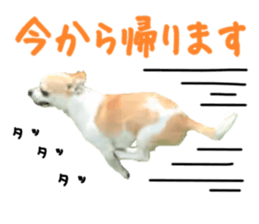 207076075