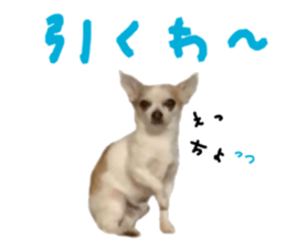 207076089