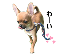 207079185
