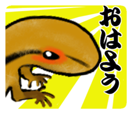 20709828