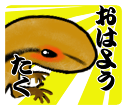 20709868