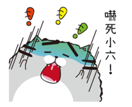 207203607