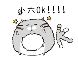 207203613
