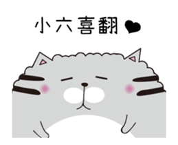 207203628