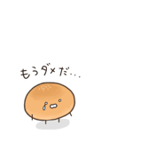 207294419