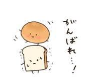 207294420