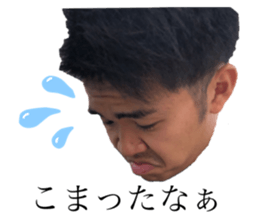 207308273