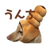 207325047