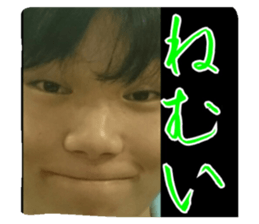 20737513
