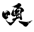207377095
