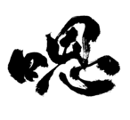 207377106