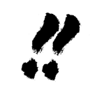 207377112