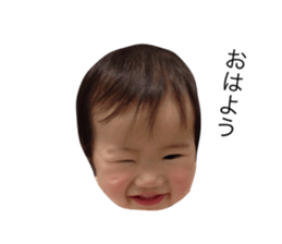20738148