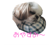 207393225