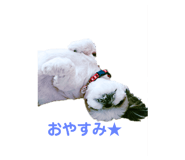 207393226