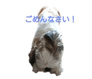 207393233