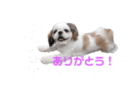 207393236