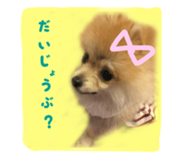 20739982