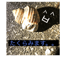 207406568