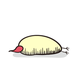 207408855