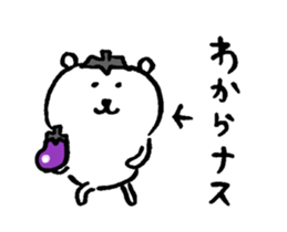 20746205