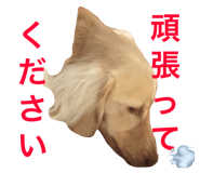 20760364