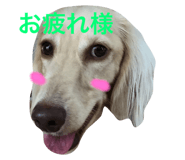 20760365