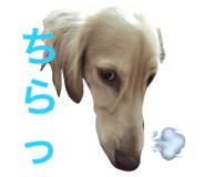 20760368