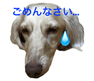 20760371