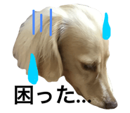 20760375