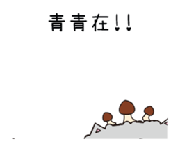 207639944