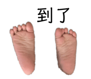 207675604