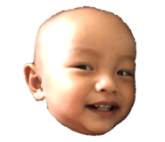 207675635