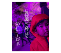 207699293
