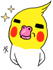 207700510