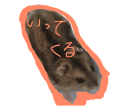 20774225
